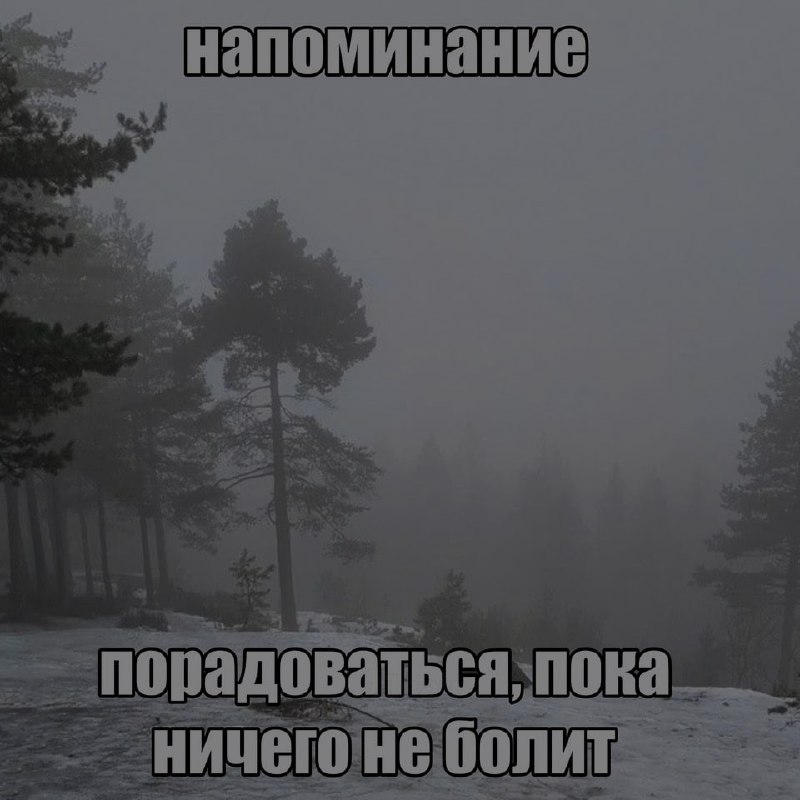 Ночная подборочка
Спать, режим
