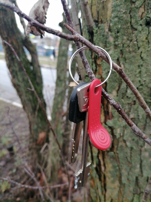 Нашли ключи, на алее паралельно КМБ, повесели напротив ...