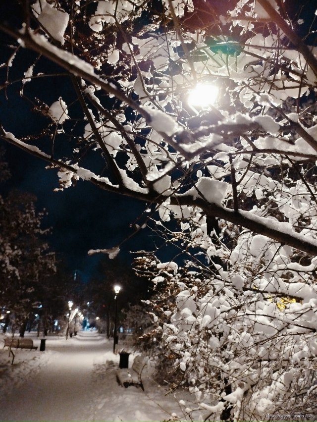 ✨ Зacнeжeнный нoябpьcкий вeчep в Πepвoмaйcкoм cквepe
Φoтo: Ингa Рa...