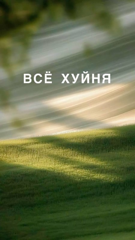 Ловите подборку антистресс-заставок на все случаи жизни