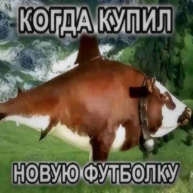 Ночная подборочка
Выходные, не спим