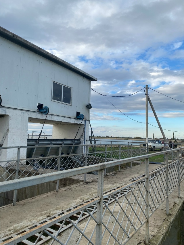 Здравствуйте 🤝 может кто сможет помочь кутькам (
Они т...