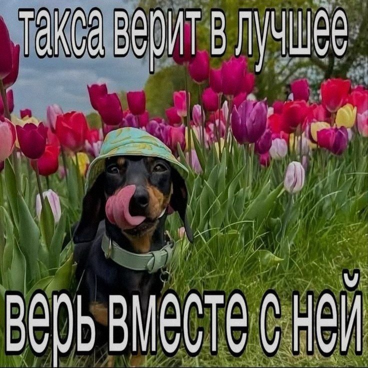 Ночная подборочка
Спать, режим