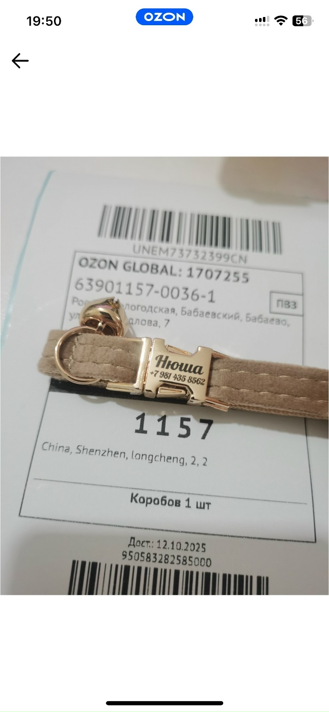 Пропала кошка, в районе Гайдара 18. Зовут Нюша. Может кто...