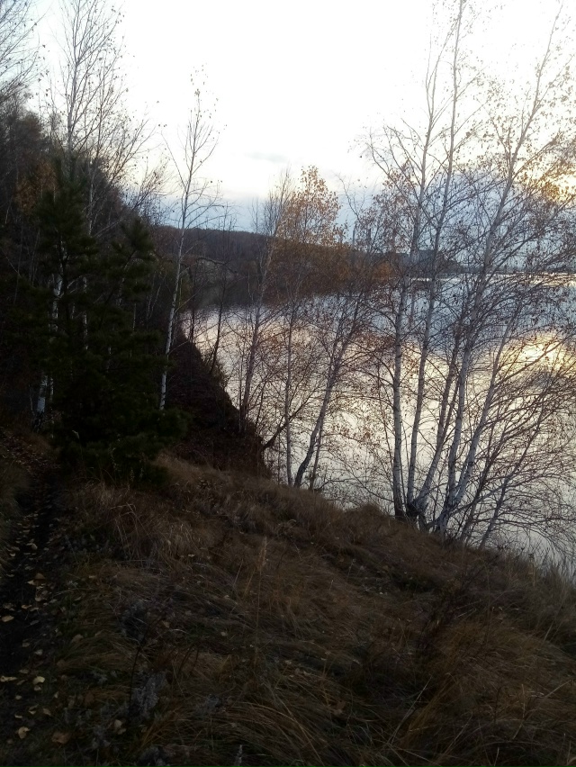 Немного позитива в ленту.На снимках-подборка № 3,прогу?...