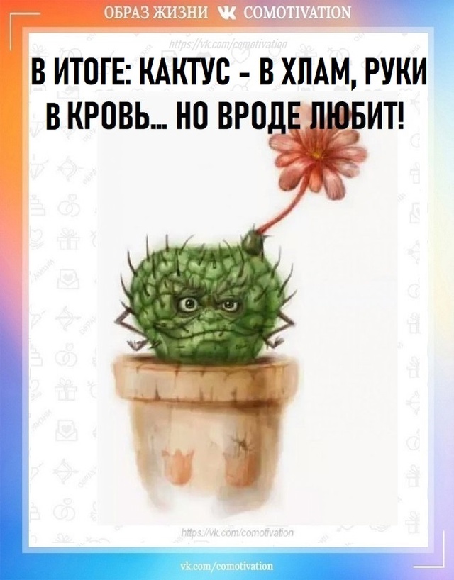 Любит - не любит.