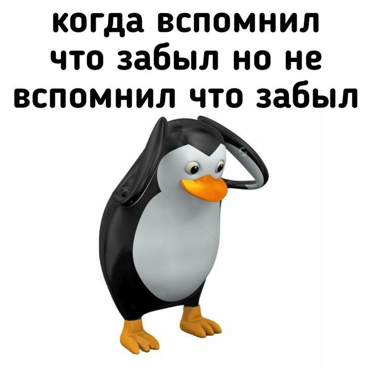 Зумеры начали забывать всё подряд.
86% россиян в возрасте от 16 до 28 лет замечают у себя проблемы