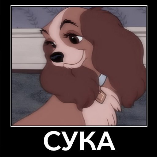 Девочки: Знакомься, это Света, Марина, Вика
Парни:
