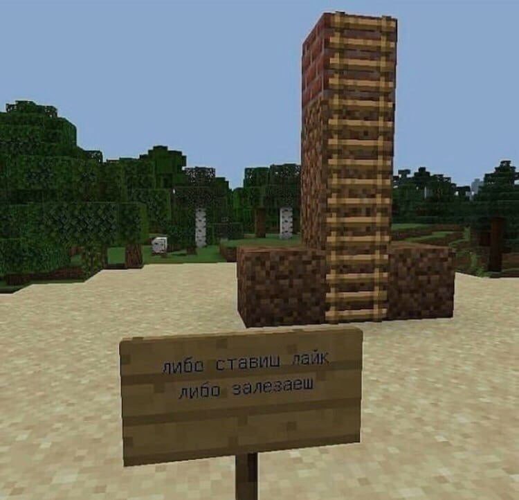 Ночная подборочка
Спать, режим