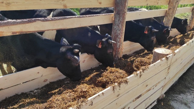 ❗После вмешательства администрации Верховажского ок?...