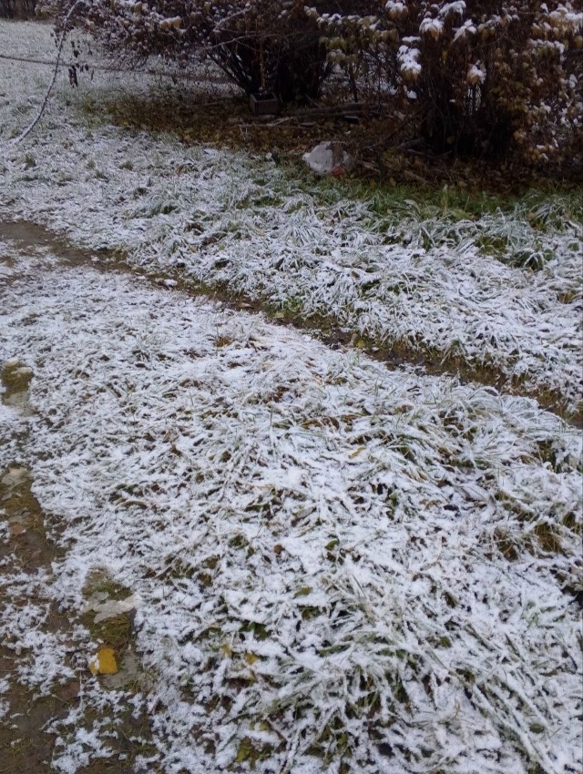 Уже захотелось достать ёлку и мандарины?
За снежные ка...