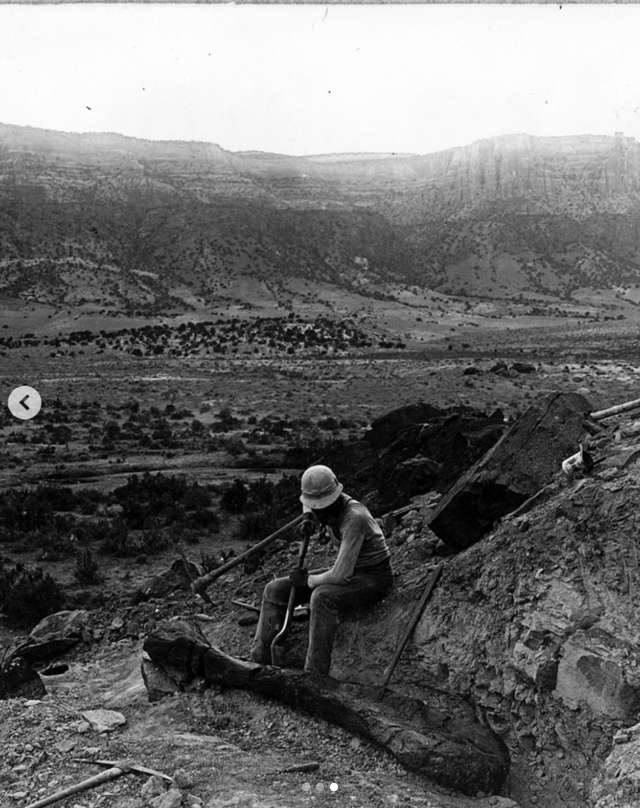 4 июля 1900 года палеонтолог полевого музея Эльмер Риггс ...