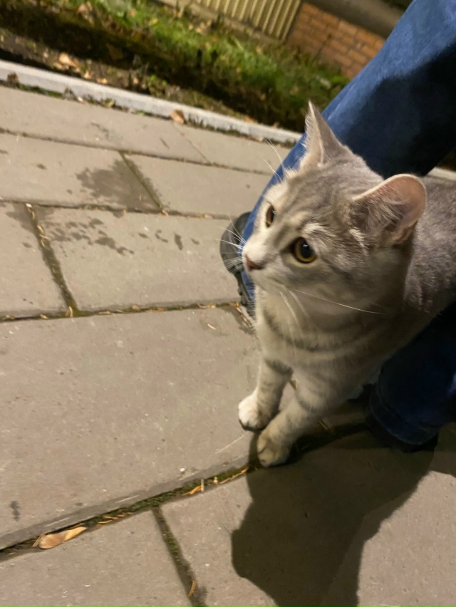 Кто потерял, находится на аллее дк
Анонимно