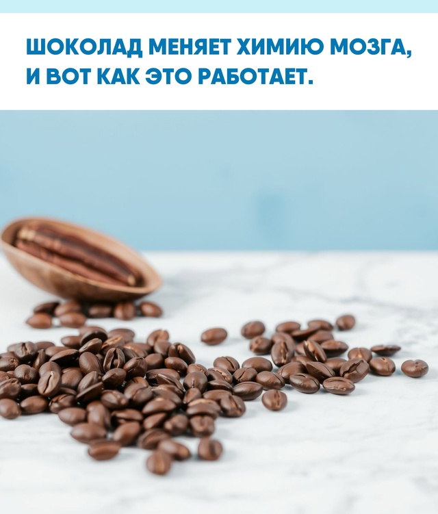 Шоколад — это не просто сладость, а сложный коктейль н?...