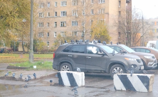 Какое-то собрание