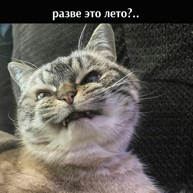 =»»