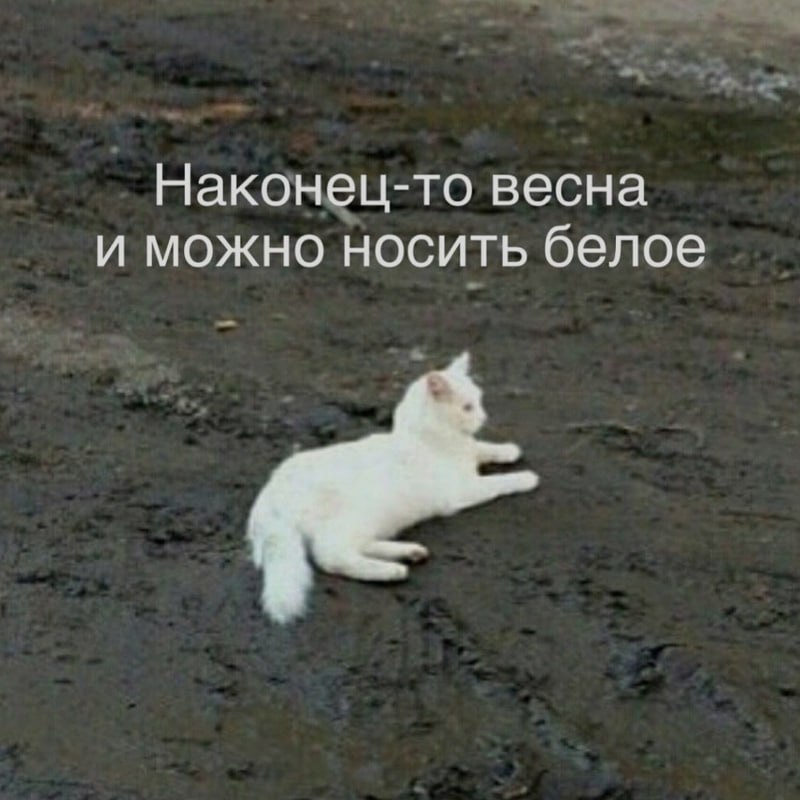 Ночная подборочка
Спать, режим