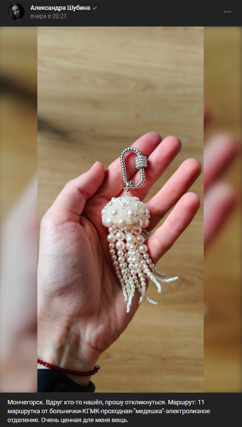 #потеряшки@monchegorsk