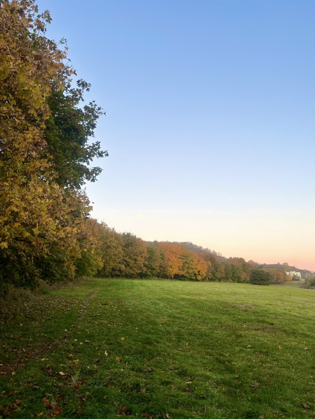 Тот, кто носит в душе радость, всегда найдёт миллион пр?...