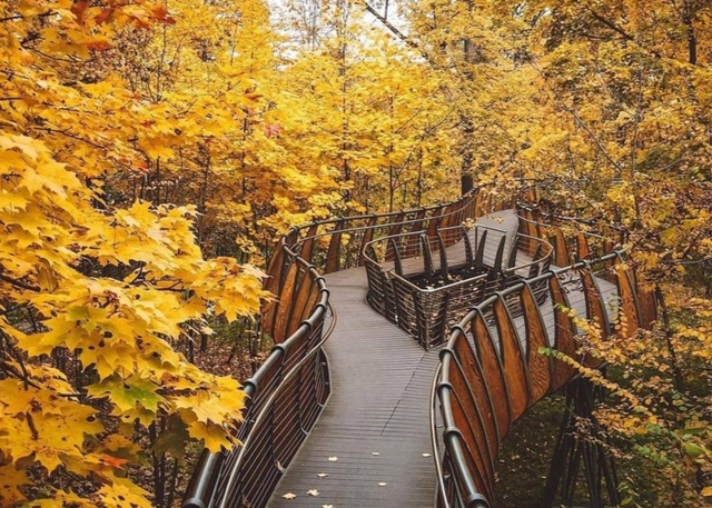 Где гулять этой осенью?
Собрали живописные места, где...