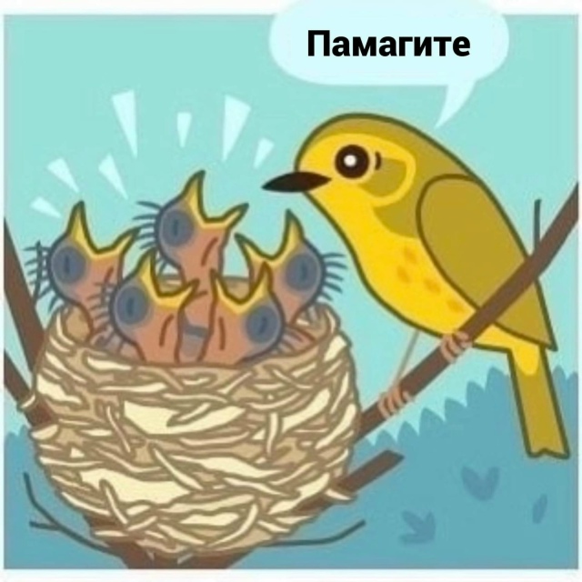 Дальше легче