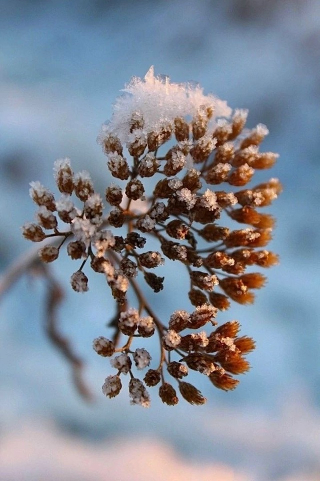 Рисунки и паттерны заполярного ноября в объективе Еле?...