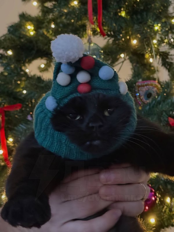 Это ты, счастливый и довольный, заряжаешься новогодним настроением