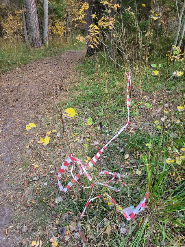 В субботу, 20 сентября, в парке проводили мероприятия( б...