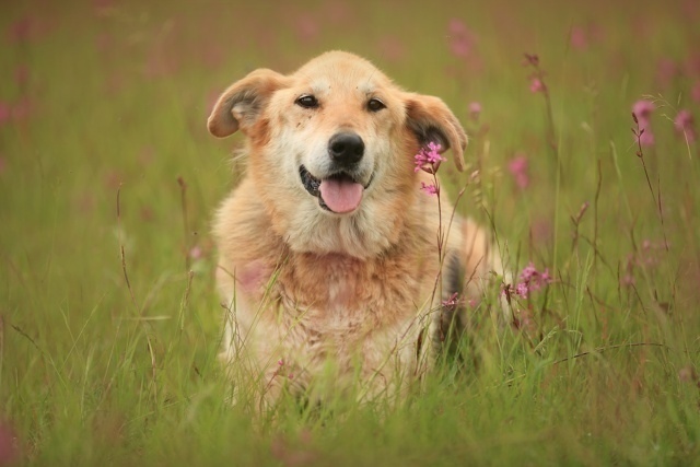 Санкт-Петербург и Ленинградская область
Моня: Десять л...