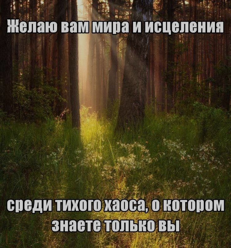 Ночная подборочка
Спать, режим