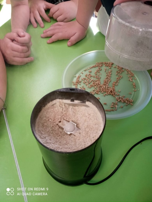 ?⭐️ Изучение профессии агронома в проекте 