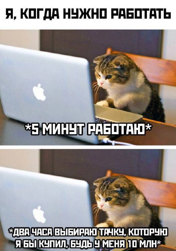 с 500₽ на карте