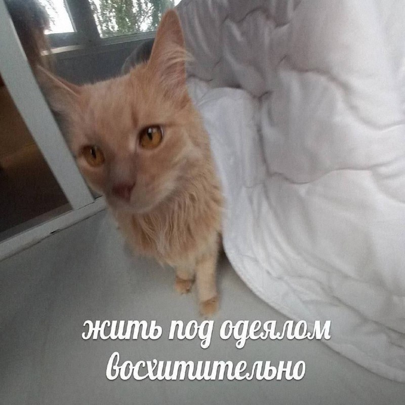 Утренняя подборочка