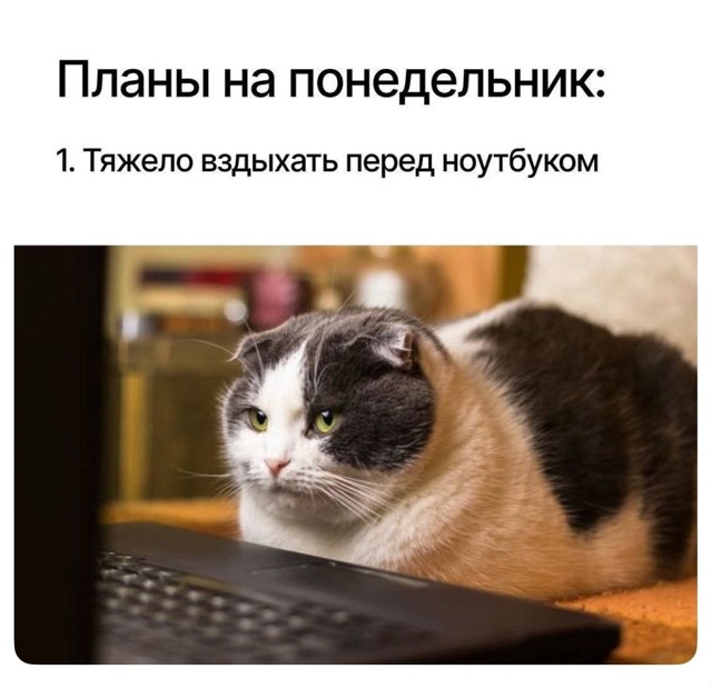 План на день