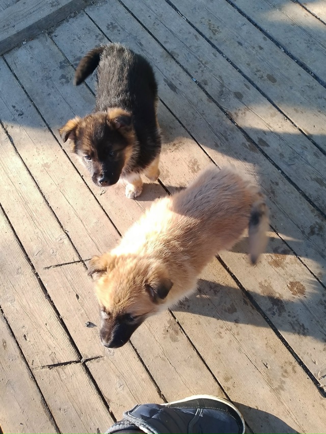 ‼️‼️‼️🆘🆘🆘‼️‼️‼️
ПРОШУ МАКСИМАЛЬНЫЙ РЕПОСТ‼...