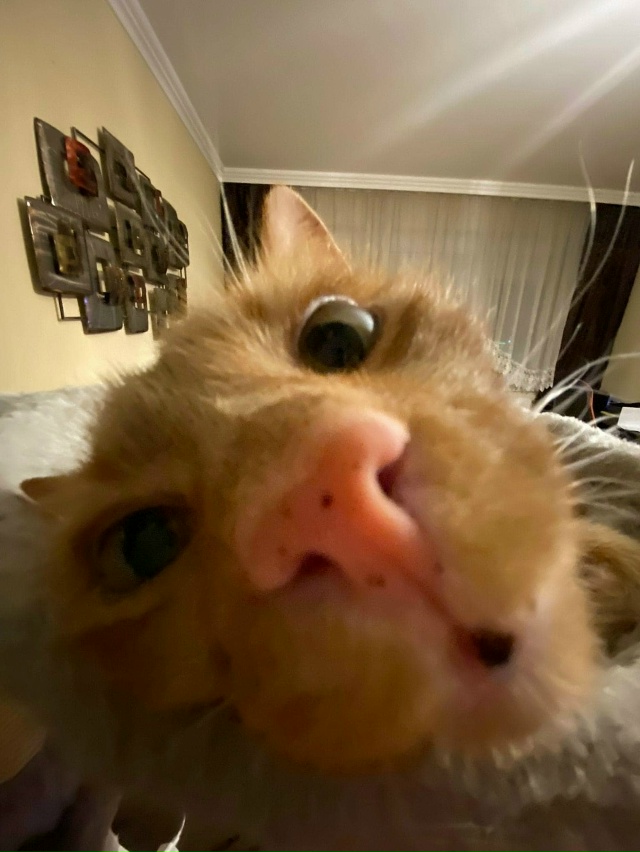 Носатого всем утра!😂