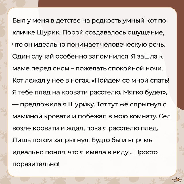 — Он идеально понимает человеческую речь...
#Подслуша?...