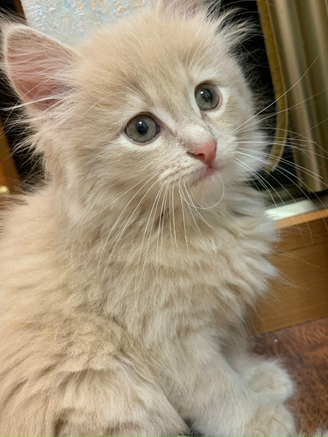 Моменты
Взросления Томасика