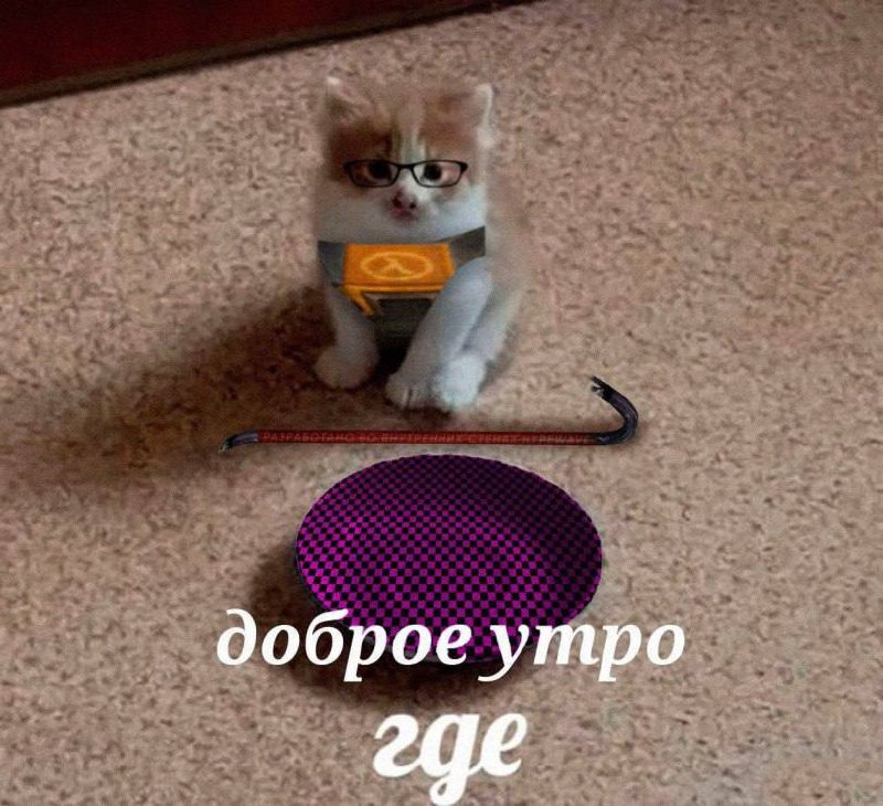 Утренняя подборочка