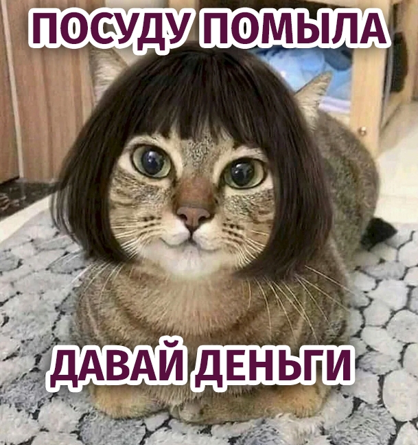 👉Зарплата за борщ и уборку: мужчин в России хотят обяз...