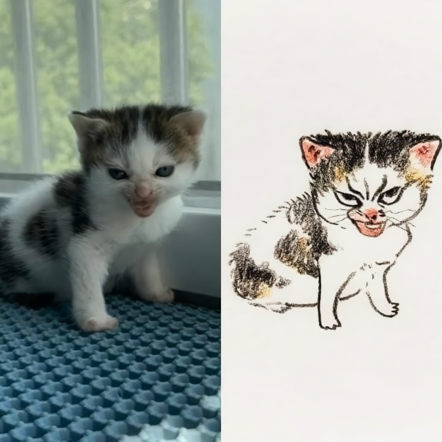 Сходство потрясающее
Почерк шаржиста