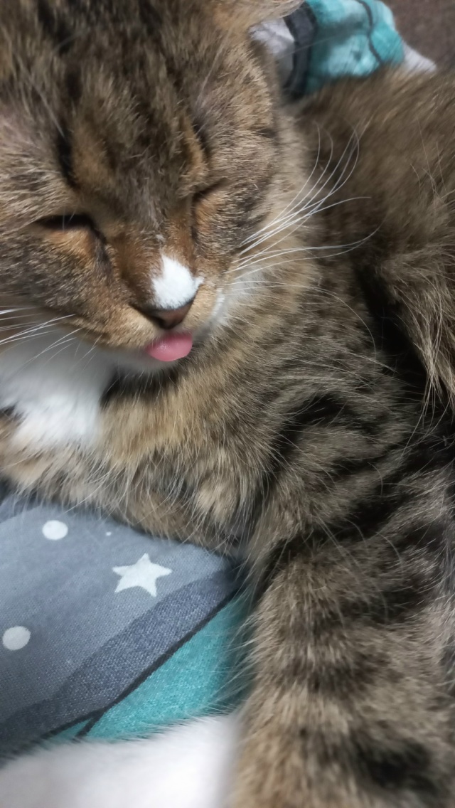 Мылась мылась и ....... уснула 😴