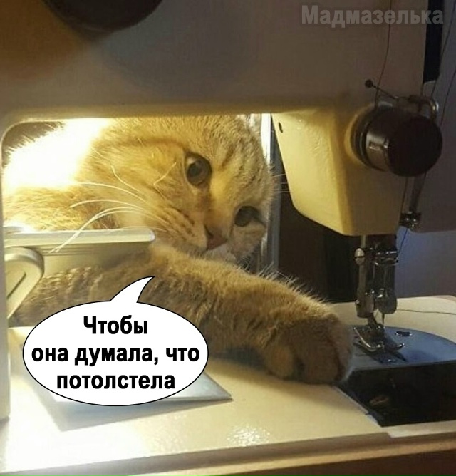 Какой коварный план)