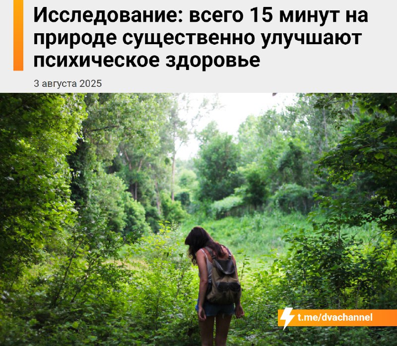 Всего 15 минут на природе заметно улучшают психическое состояние: учёные доказали, что это лёгкий и