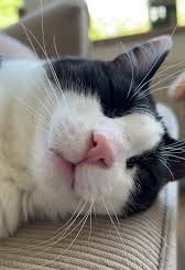 Утро — это такая часть суток, когда завидуешь безработ...