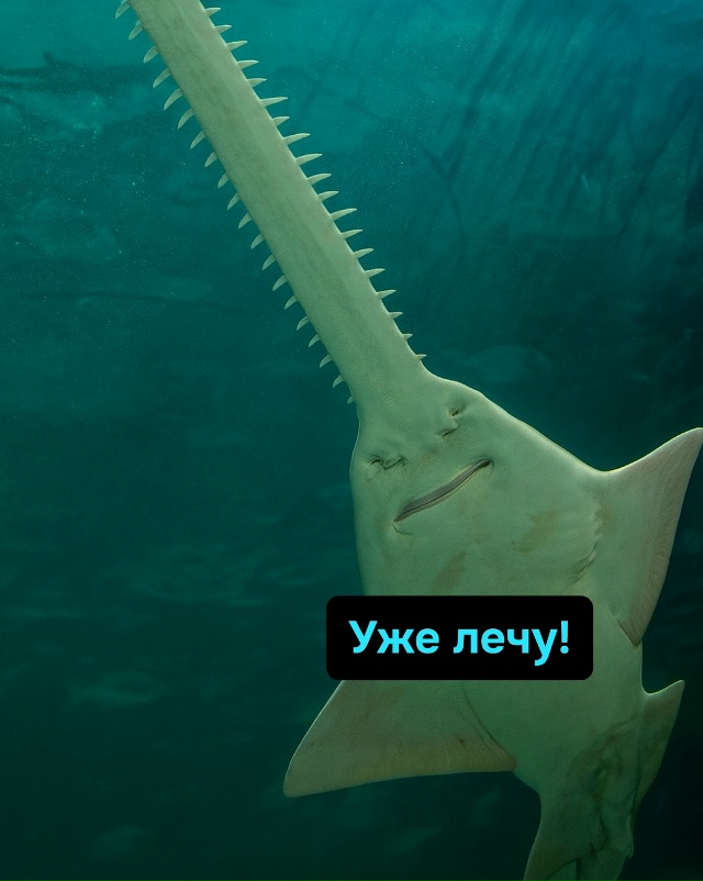 Некоторые вакансии могут кусаться, зато зарплата обещ?...