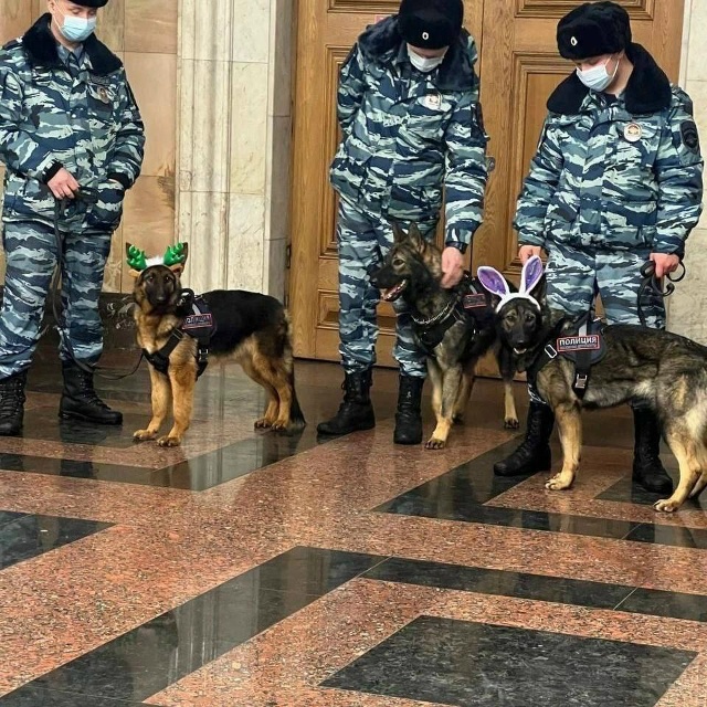 То ли соьака то ли нет, непонятно