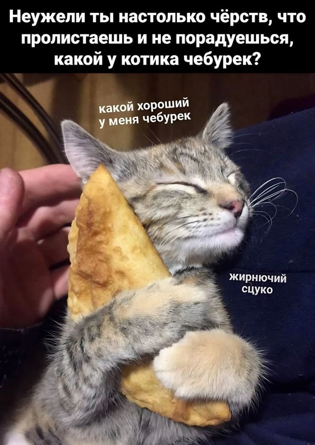 Российский турист Алексей рассказал, что после экскур?...