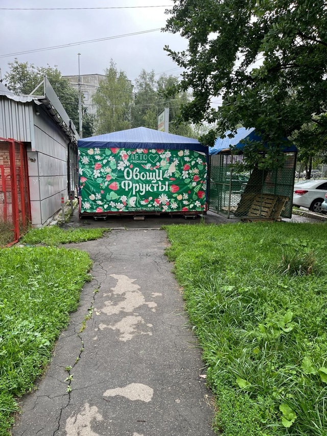 К приезду губернатора подготовились👍
Со стороны доро...