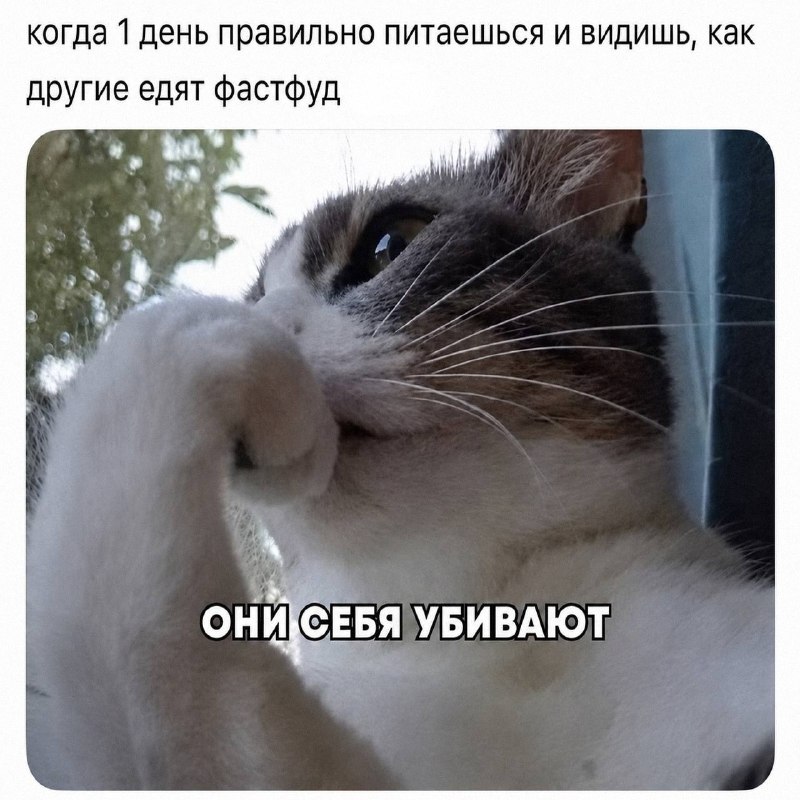 Утренняя подборочка
